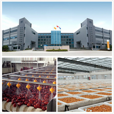 杭州超达食品 以中国式阿米巴经营重塑食品加工赛道