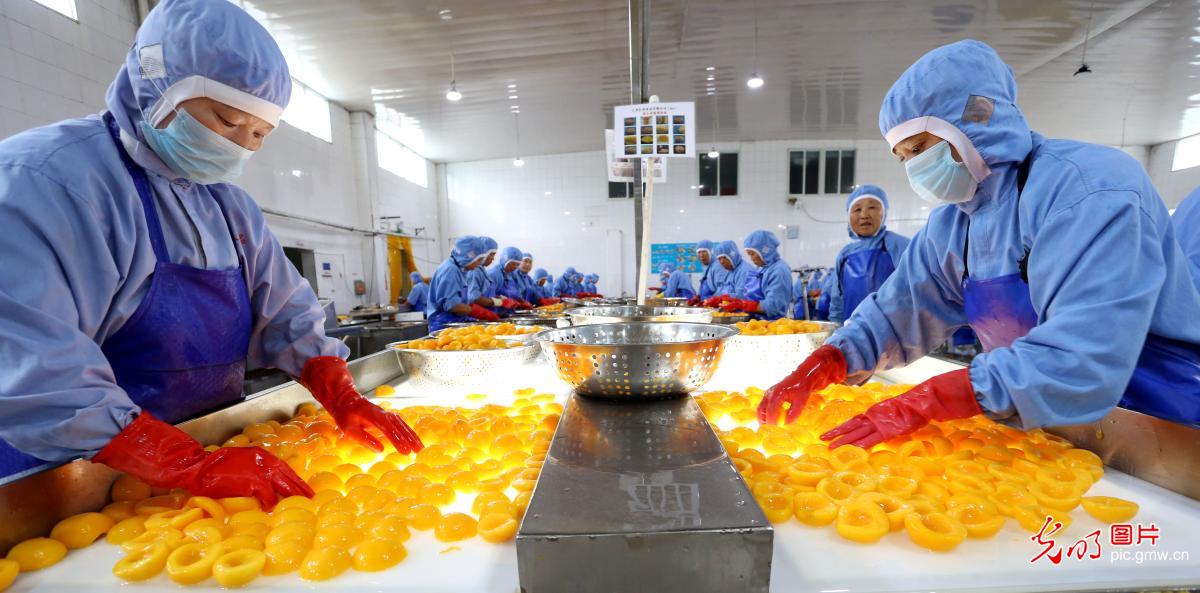 食品深加工出口忙 全球餐桌上的中国新味道